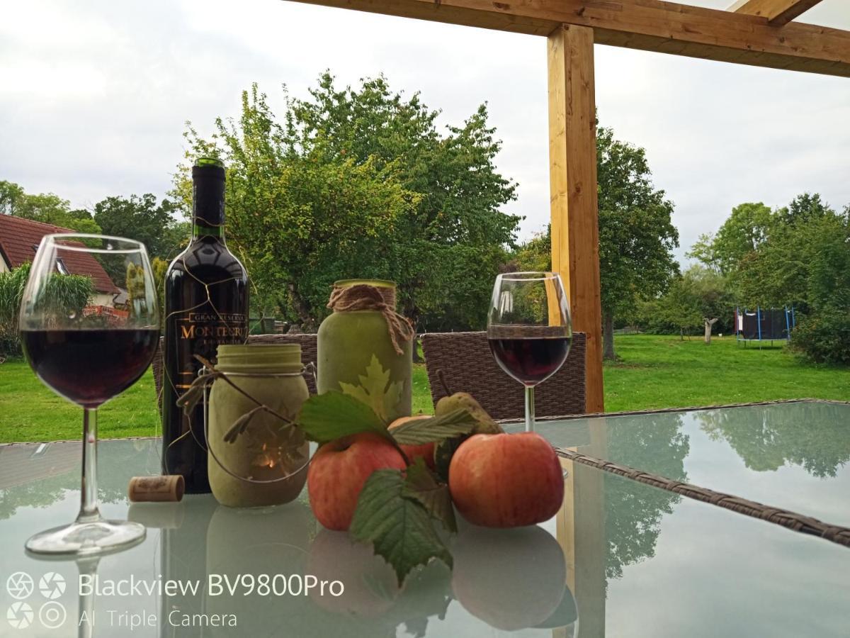 Ferienwohnungen "Weitblick" Und "Schwalbennest" Lodmannshagen エクステリア 写真