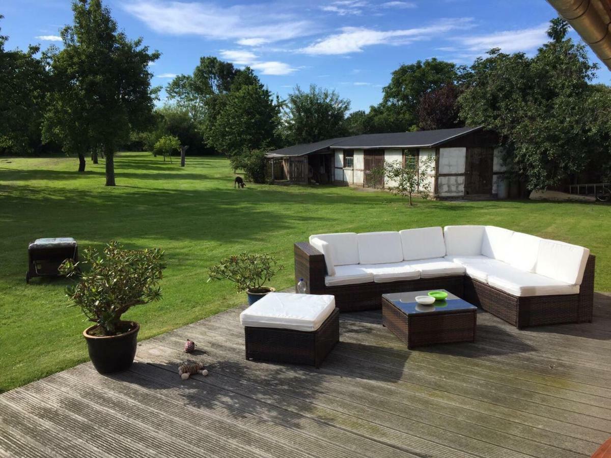 Ferienwohnungen "Weitblick" Und "Schwalbennest" Lodmannshagen エクステリア 写真