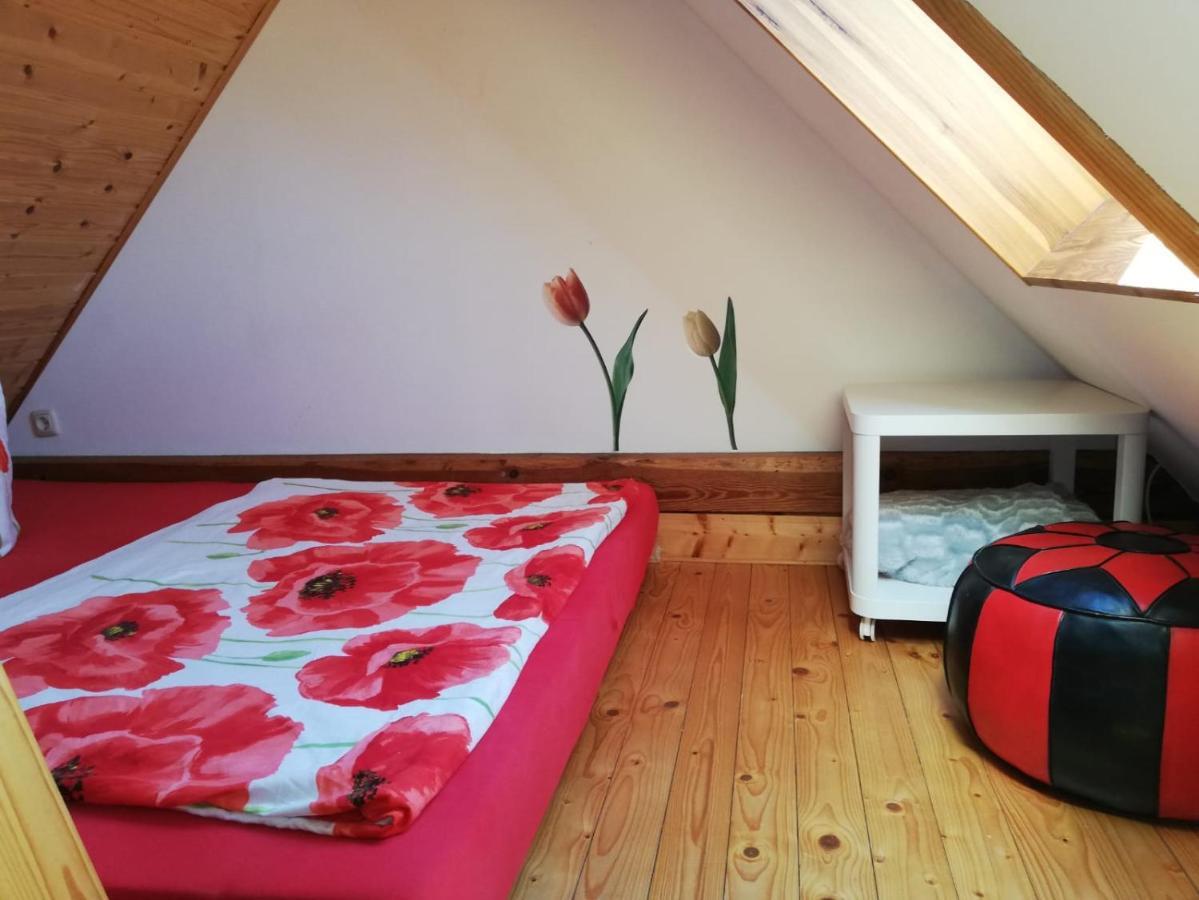 Ferienwohnungen "Weitblick" Und "Schwalbennest" Lodmannshagen エクステリア 写真